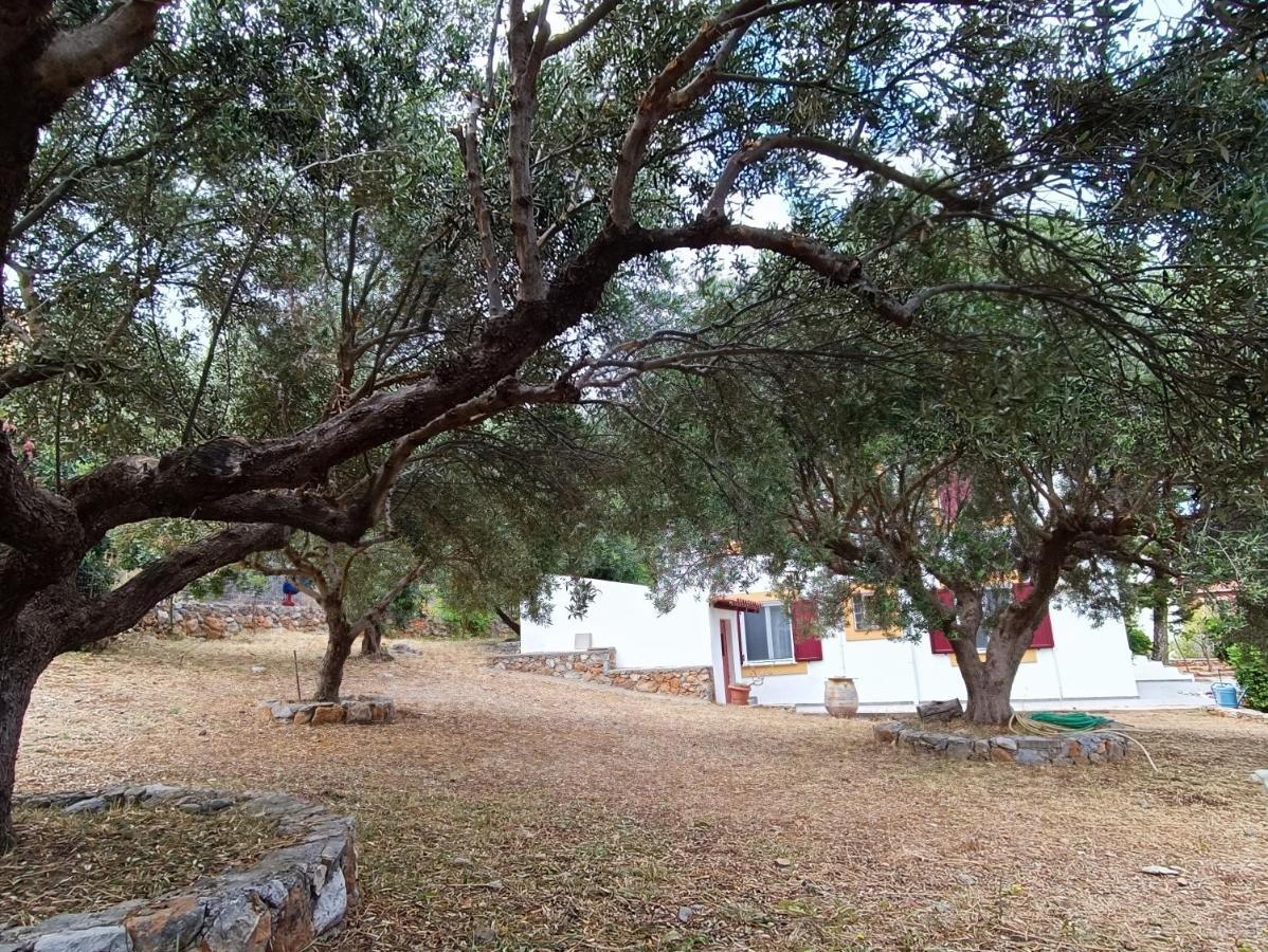 הרסוניסוס Villa Melivia מראה חיצוני תמונה